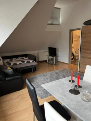 Zimmer zum vermieten direkt an der Donau und am Schloss